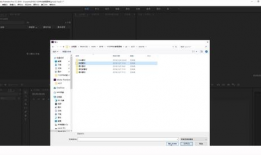 pr剪短视频,打造吸睛内容的艺术之旅